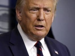 US President Donald Trump speaks at a news conference at the White House in Washington, DC, USA, 30 July 30 2020. EPA/YURI GRIPAS / POOL