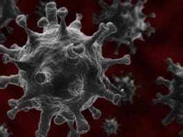 Coronavirus Variant Illustration Of V