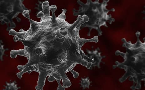 Coronavirus Variant Illustration Of V Coronavirus Variant Illustration Of V