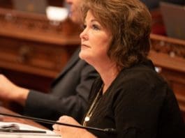 State Sen. Shannon Grove (R-Bakersfield), shown in 2019, was ousted as the upper house’s Republican leader on Wednesday.(Robert Gourley / Los Angeles Times)