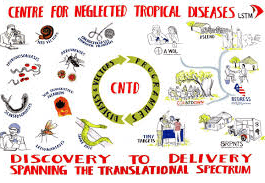 NTDs