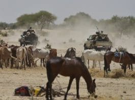 Niger