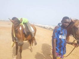 beach horse riding business
