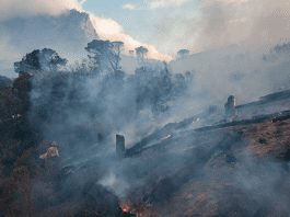 FILE PHOTO: A general view of a fire ravaging the slopes of Table Mountain and Signal Hill in gale force winds in Cape Town, South Africa. /Getty Images