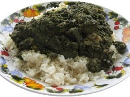 Cassava Leaf