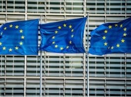 FILED - A gernal view of the European flags in front of the headquarters of the European Commission in Brussels. Photo: Michael Kappeler/dpa