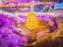 Photo taken on March 14 shows a night view of the East Lake, Wuhan, central China's Hubei Province. (Photo by Zhao Guangliang/People's Daily Online)