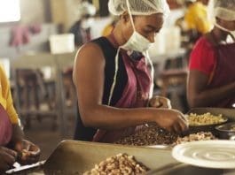 Ecobanks Msme Training