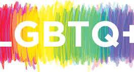Social Lgbtq Court