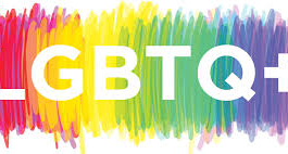 Social Lgbtq Court