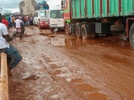 Social Road Damage