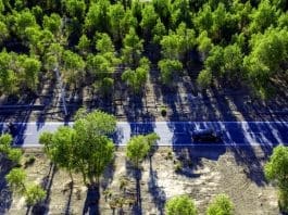 Photo shows a rural road in Yuli county, Bayingolin Mongol autonomous prefecture, northwest China’s Xinjiang Uygur autonomous region. (Photo by Li Fei/People’s Daily Online)