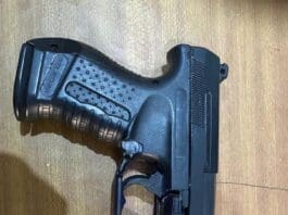 Gun