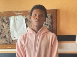 Crime Suspect Arrested