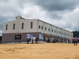 Economics D F Commissioning