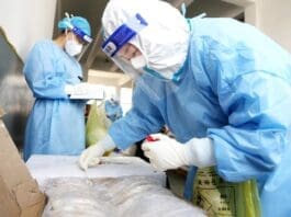 A medical worker takes samples on imported fish for COVID-19 nucleic acid test at a refrigeration house in Lianyun district, Lianyungang, east China's Jiangsu province, Aug. 11, 2021. (Photo by Wang Chun/People's Daily Online)