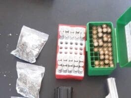 Crime Pistols Arrest