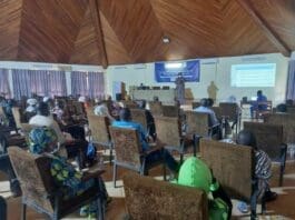 Social Gii Workshop