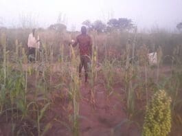 Farming Equipment