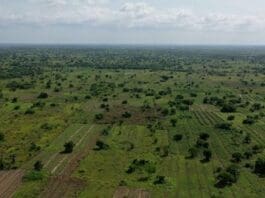 Farmland