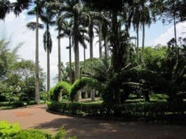 Aburi Parks And Gardens