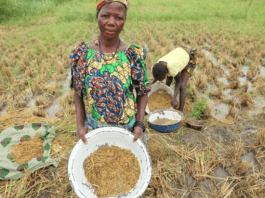 Economics Benchmark Impact