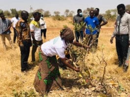 Participnats being taken through on how to practice the FMNR concept on the field as a ways of restorinfg degraged land