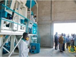 Empire Cement Factory