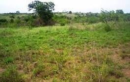 Land