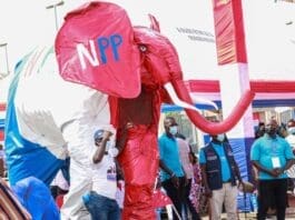Npp