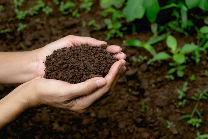 Soil