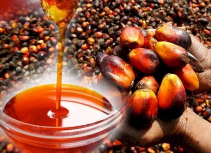 Palm Oil Production