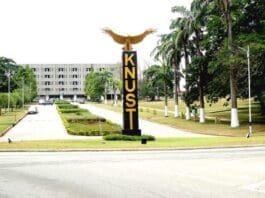 Knust