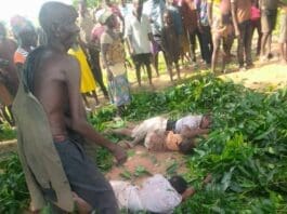 Ho Social Accident Dead