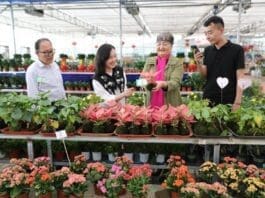 Tourists buy flowers at a flower industrial park in Fengqing township, Beitun city, northwest China’s Xinjiang Uygur autonomous region, May 3, 2022. (Photo by Li Haiting/People’s Daily Online)