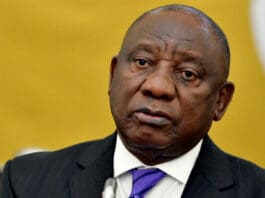 At the very least, Cyril Ramaphosa should have spoken out earlier than he did about state capture, the chief justice said