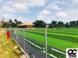 astroturf