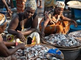 Ghana Women In Fisheries