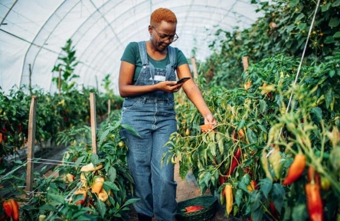 Digital Agriculture In Africa