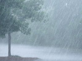 Rain