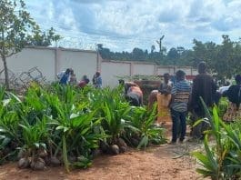Science Seedlings Presentation