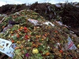 Food Waste