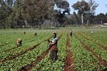 Science Farmers Tool