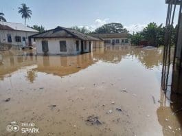 Social Mce Flood