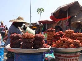 Vendors sell products at a market in Accra, Ghana, on July 14, 2022. Data released by the Ghana Statistical Service (GSS) Wednesday indicated that Ghana's inflation rate rose to 29.8 percent in June, compared with 27.6 percent a month earlier. (Photo by Seth/Xinhua)