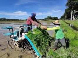farmers