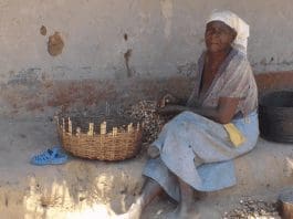 In Africa, Women are Often Responsible for Indigenous Seed Management Including Selection, Storage, Exchange and Planting. Picture by KHUMBILO-Zambia