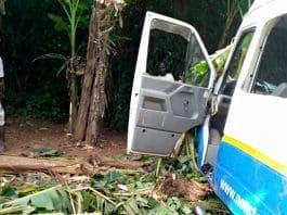 Social Road Accident Deaths