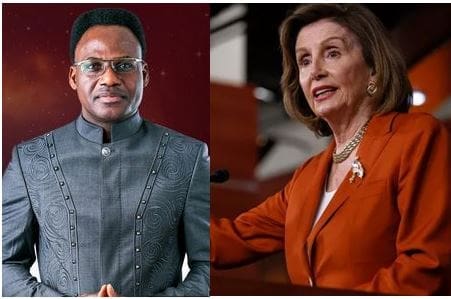 The Seer Pelosi The Seer Pelosi