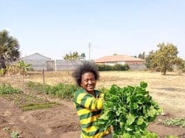 Youths In Agriculture